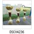 DSC04236.jpg