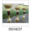 DSC04237.jpg