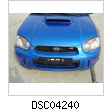 DSC04240.jpg
