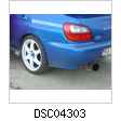 DSC04303.jpg