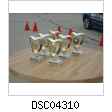 DSC04310.jpg